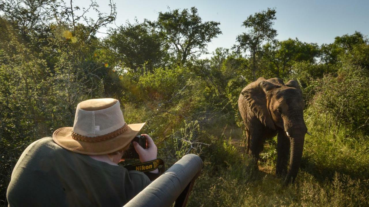 Lion Sands - Tinga Lodge 스쿠쿠자 외부 사진